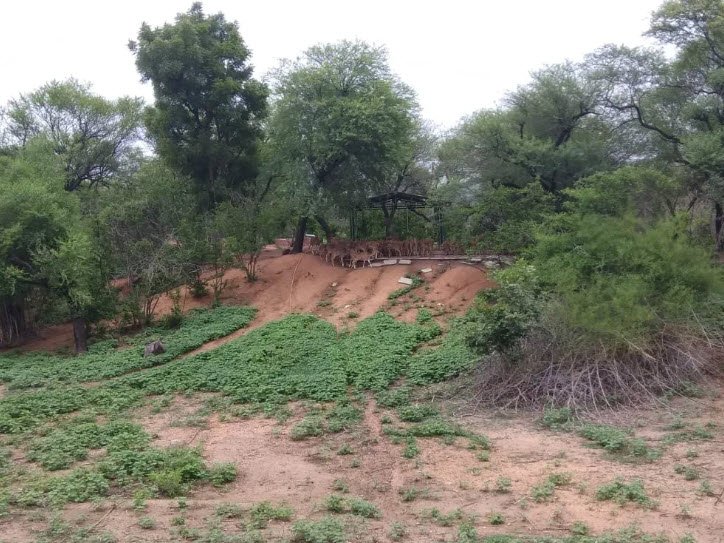 Zoo Park, Mahabubnagar, Telangana - Vushii.com Zoo Park, Mahabubnagar, Telangana - Vushii.com